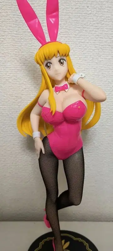 코치카메 아키모토 레이코 BiCute Bunnies Figure 프라이스