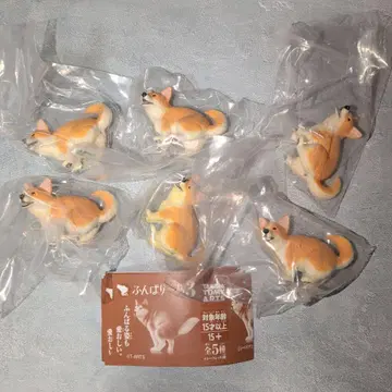 굼벵이 3 코기 6체 가챠 굼벵이~누 3