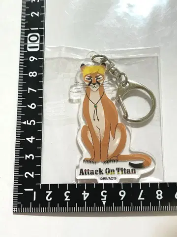 진격의 거인 블랙 고양이 디자인 키링 엘빈