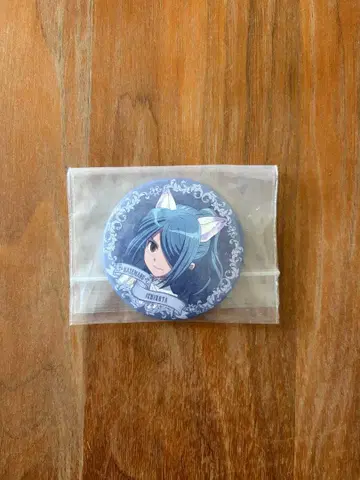 이나즈마 일레븐 카제마루 이치로타 캔뱃지 캐릭터 배지 컬렉션