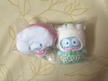 치비토모 시나몬 한교동