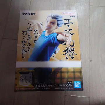 하이큐!! 에이스의 마음가짐 보쿠토 코타로 피규어 비1