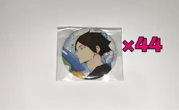 하이큐 스나 린타로 물놀이 캔뱃지