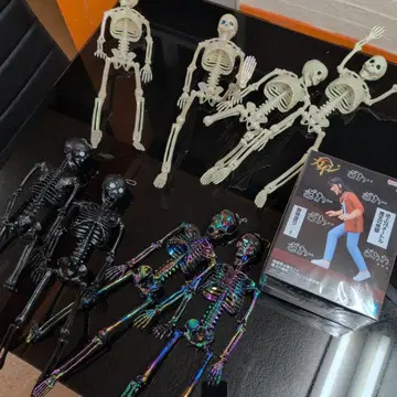 스켈레톤 피규어 세트 BANDAI