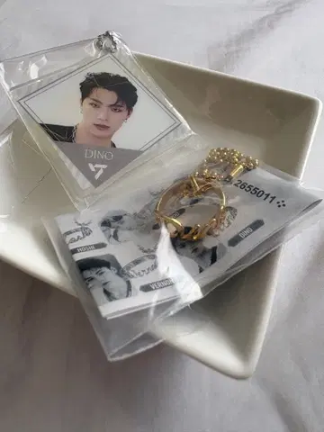 세븐틴 디노 네임 반지 참 아크릴 참 2종 세트
