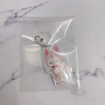 타몬 군 지금 어느 쪽!? 애니멀F/ACE 메지루시 참 후쿠하라 타몬