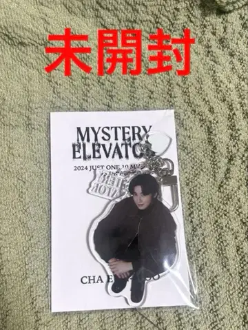 미개봉 차은우 아크릴 키링 mystery elevator