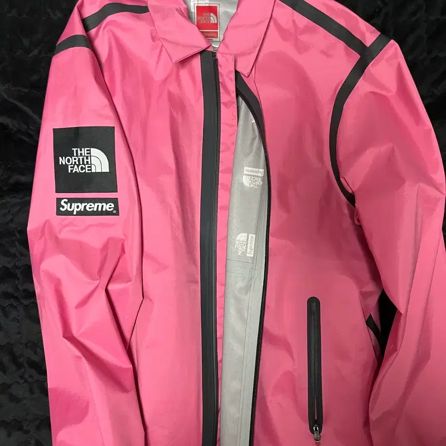 18ss Supreme x The North Face Snake Skin Coach Jacket on Bunjang