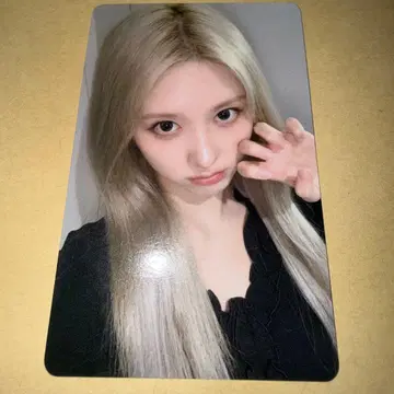 IVE 트레이딩 카드 SECRET 회장 한정판 11/23 도쿄 가을 1
