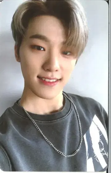 세븐틴 디노 2019 시즌 그리팅스