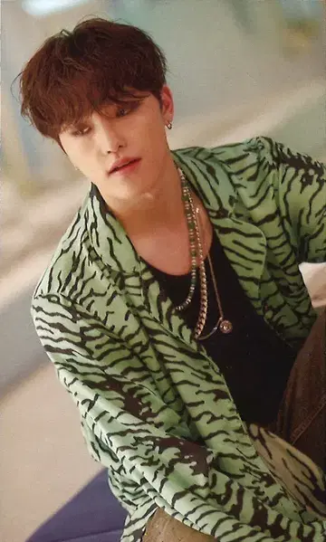 SEVENTEEN UMS 회장 한정판 DINO FACE THE SUN