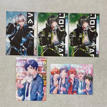 스타폴라님 치프카, 브로마이드 묶음 판매