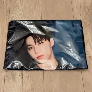 디노 DINO 빅 사진 타월 BIG PHOTO TOWEL