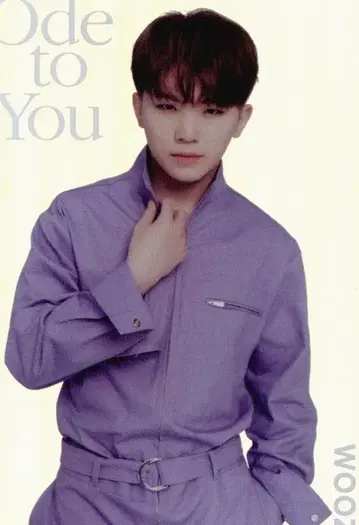 SEVENTEEN 우지 2019 ODE to You IN JAPAN 15