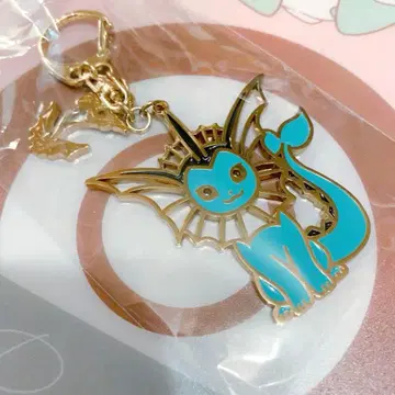 익명 배송 / 포켓몬 / 샤워즈 / 이브이 컬렉션 / 메탈 키링