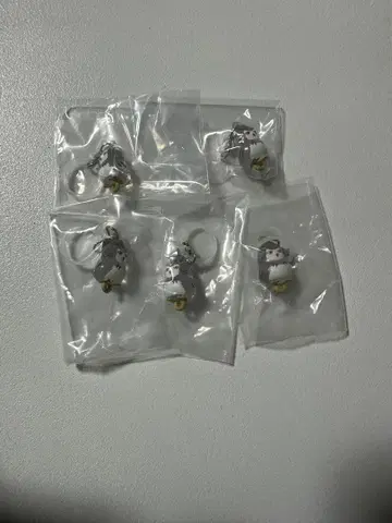 하이큐 가챠 보쿠토 보쿠토 올빼미