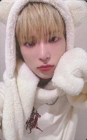 &TEAM UMS SP 사인회 한정판 HARUA 눈빛(Yukiakari)