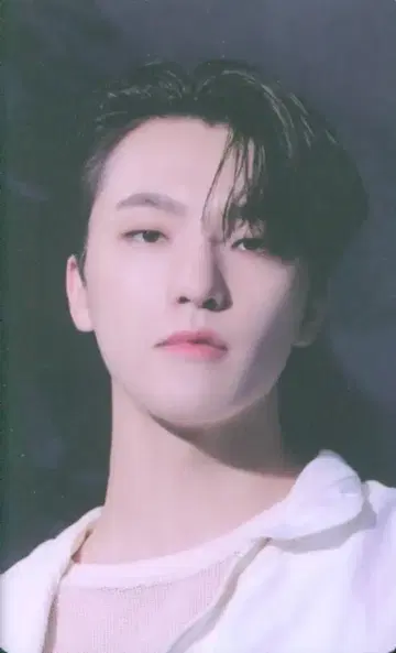 세븐틴 디노 SECTOR17 위버스 Grobal반 QR