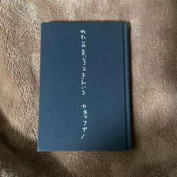 카네코 아야노 시집 나의 새하얌과 금빛