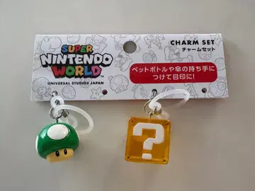 슈퍼 닌텐도 월드 참 2개