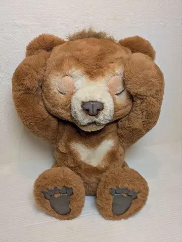 단종품 레어 퍼리얼 놀기 대장 아기곰 카비