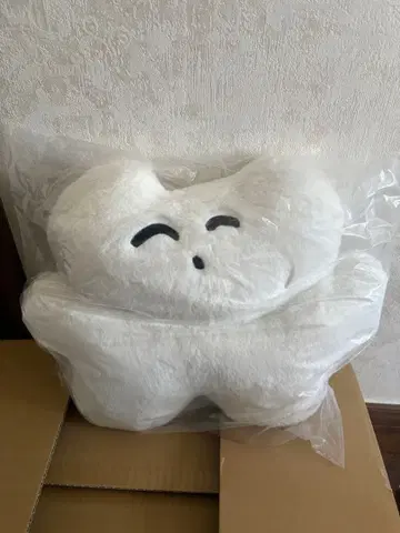 미사용 새상품 미개봉 카네코 아야노 등신대 고양이 봉제 인형