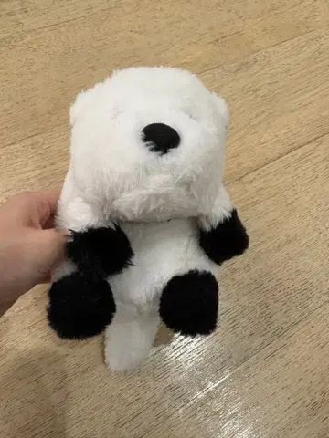 굼틀굼틀 스파이 패밀리 본드