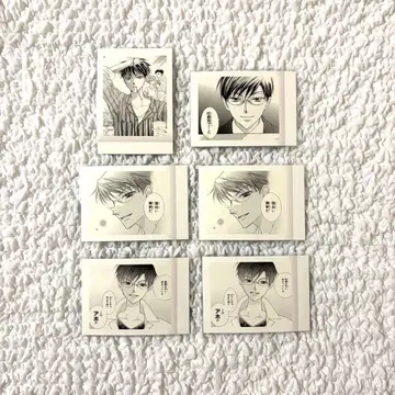 오란고교 호스트부 오오토리 쿄야 파샤코레 세트