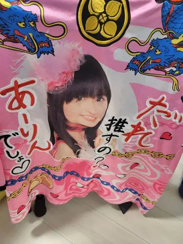 모모이로 클로버 Z의 아링의 하피입니다.