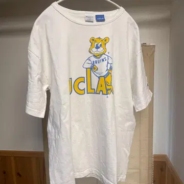 Champion T1011 U.S.A. XL 2장 세트