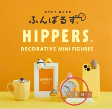 히퍼스 푼바루즈 시바견