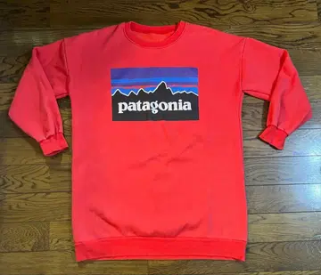 PATAGONIA 파타고니아 맨투맨 페이드