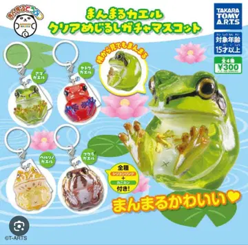 만마루 개구리 클리어 메지루시 참