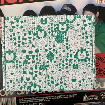 NewJeans Supernatural 냅색 해린