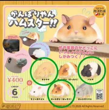 간바리얀 햄스터 3개 세트