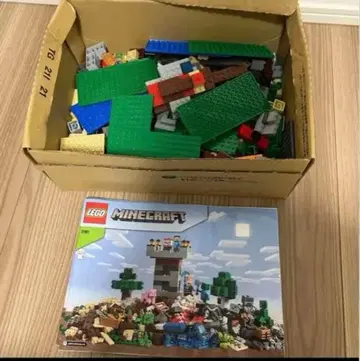 LEGO Minecraft 블록 세트 마인크래프트 21161