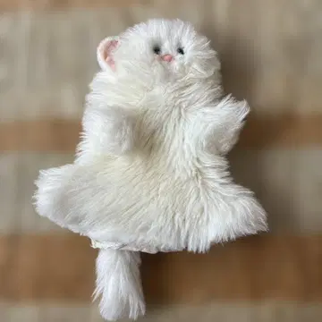 페르시안 고양이 퍼펫 오오이케 쇼와 레트로