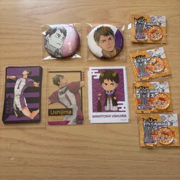 하이큐 우시지마 와카토시 묶음 판매