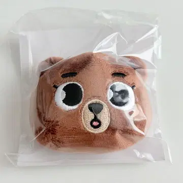 DAY6 The DECADE 헤어핀 미개봉 새상품 성진 BANG