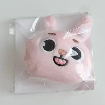 DAY6 The DECADE 헤어핀 미개봉 새상품 원필 PIL