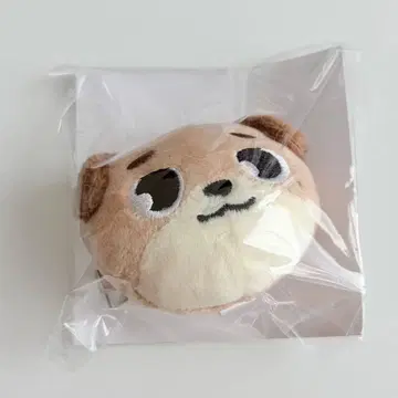 DAY6 The DECADE 헤어핀 미개봉 새상품 도운 DON