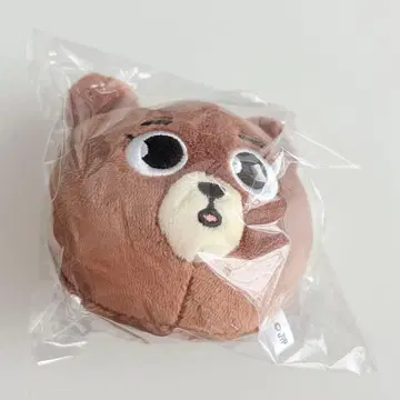 DAY6 The DECADE 페이스 백참 성진 BANG