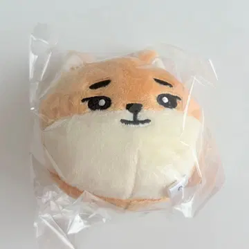 DAY6 The DECADE 페이스 백참 영케이 KE