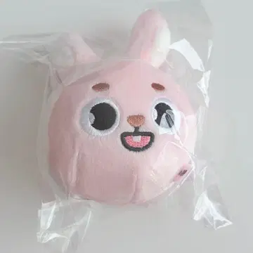 DAY6 The DECADE 페이스 백참 원필 PIL