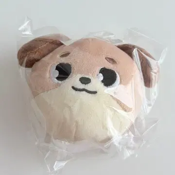 DAY6 The DECADE 페이스 백참 도운 DON