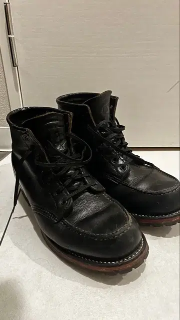 레드윙 아이리쉬 세터 redwing