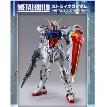 메탈빌드 스트라이크 건담 METAL BUILD 10th Ver.