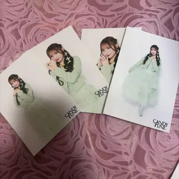 candy tune 오가와 나나코 나치코