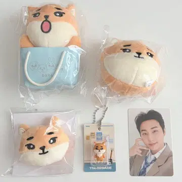 DAY6 The DECADE 백참 헤어핀 영케이 KE