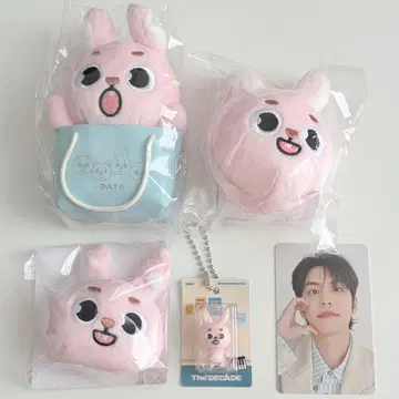 DAY6 The DECADE 백참 헤어핀 원필 PIL